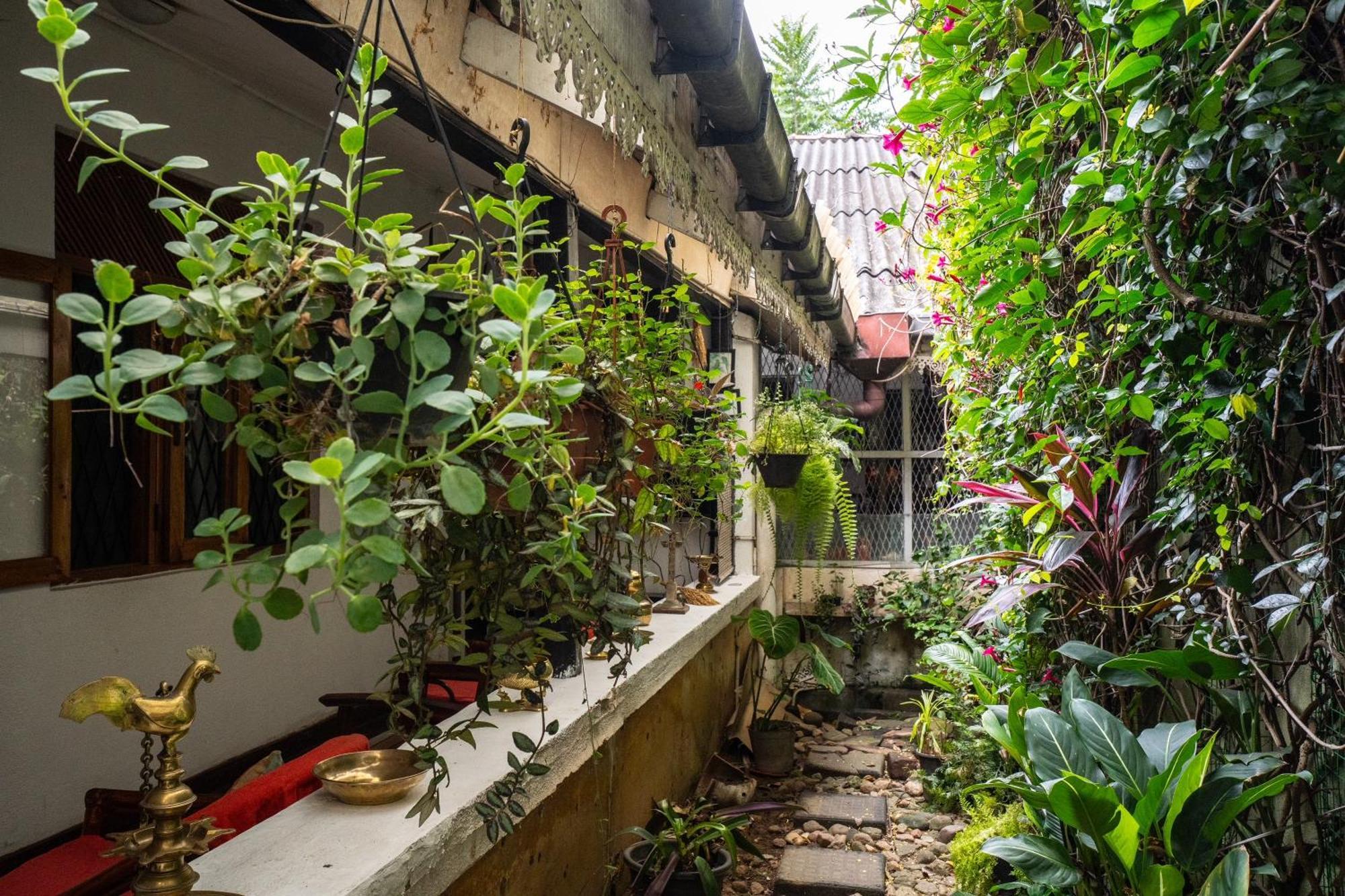 Kandy Inn Madugalle'S Family Guest House Εξωτερικό φωτογραφία